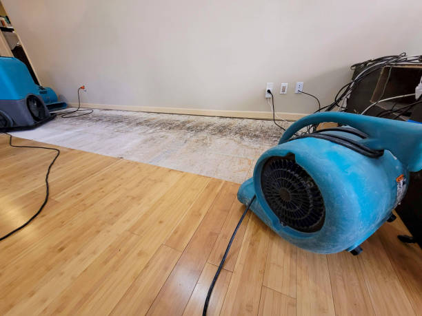 Professional Water Damage Repair technician working in Dudley, NC