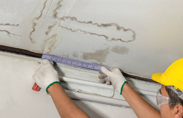 Affordable Water Damage Repair solutions in Dudley, NC